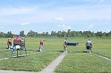 dscn0591