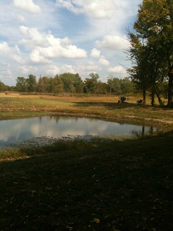 photo_100003.jpg