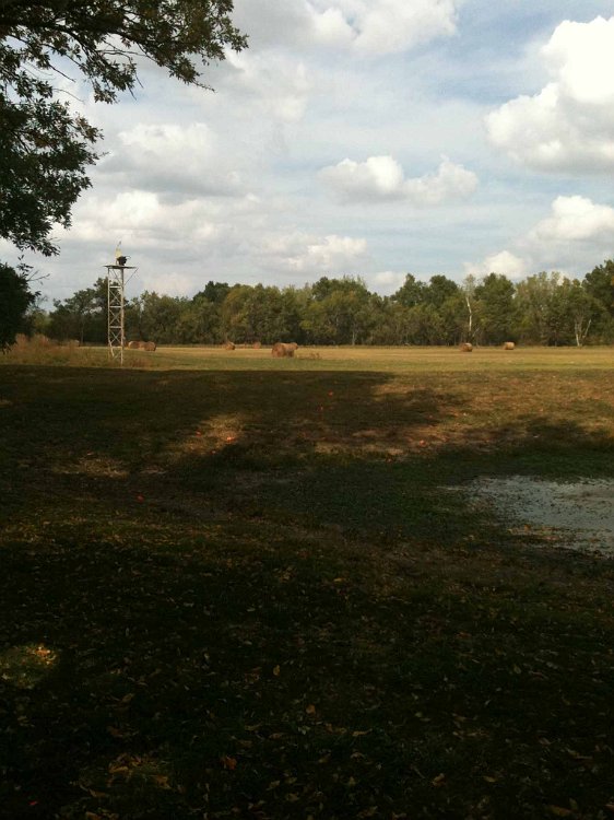 photo_70015.jpg