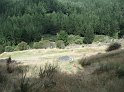 DSC00096
