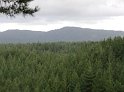 DSC00130