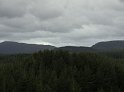 DSC00134