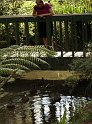 DSC00351