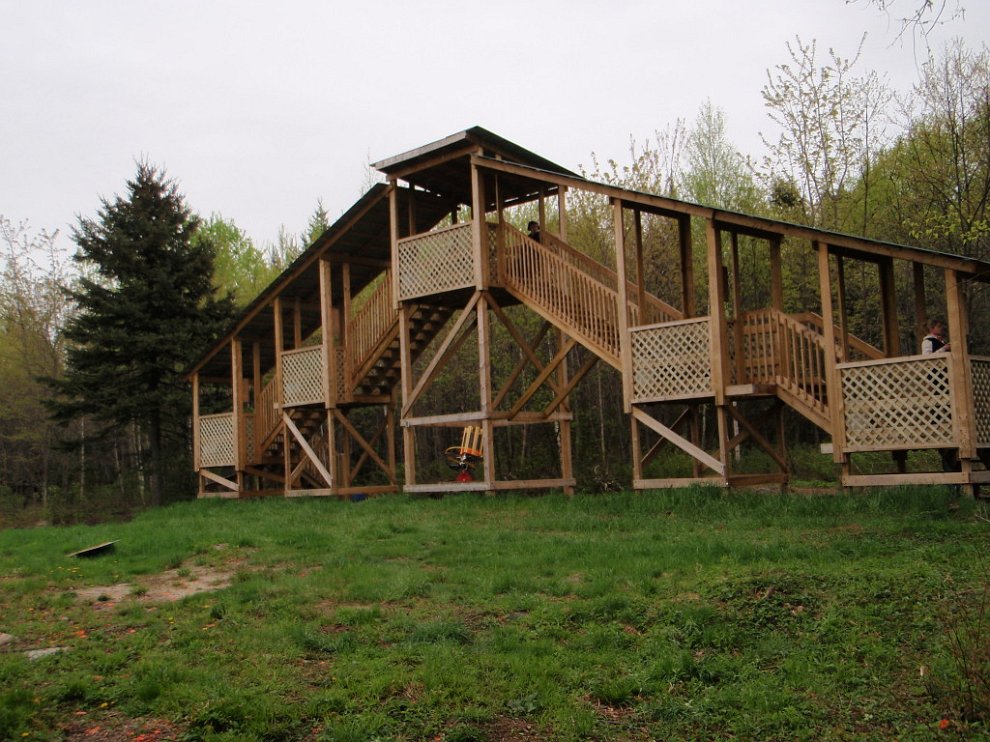 P5222636.jpg