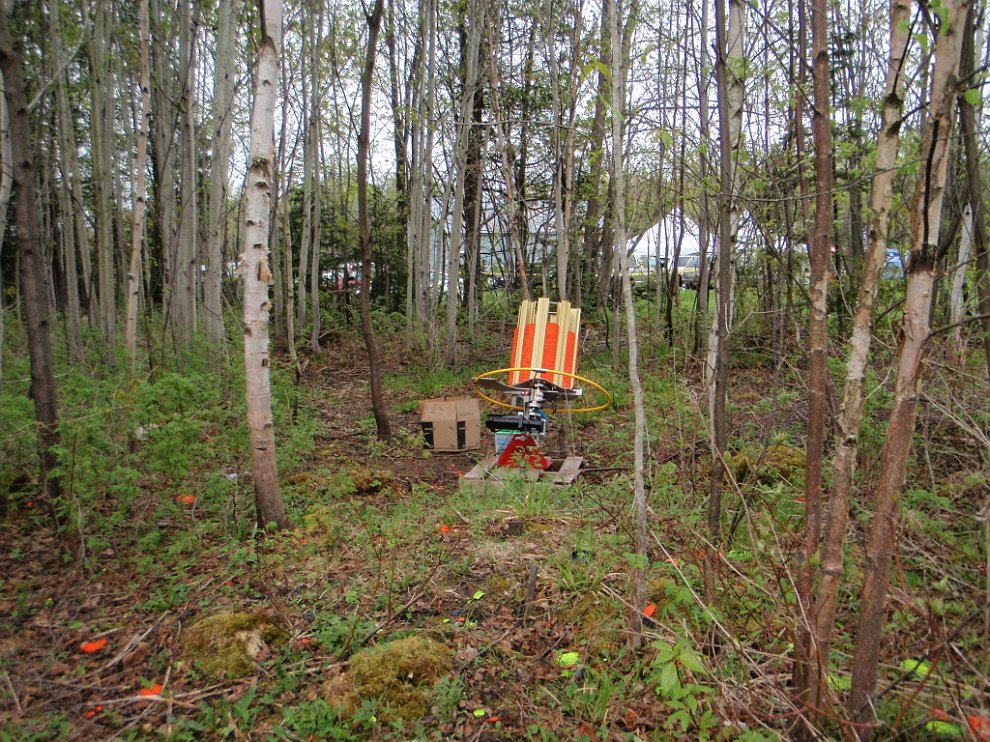 P5222637.jpg