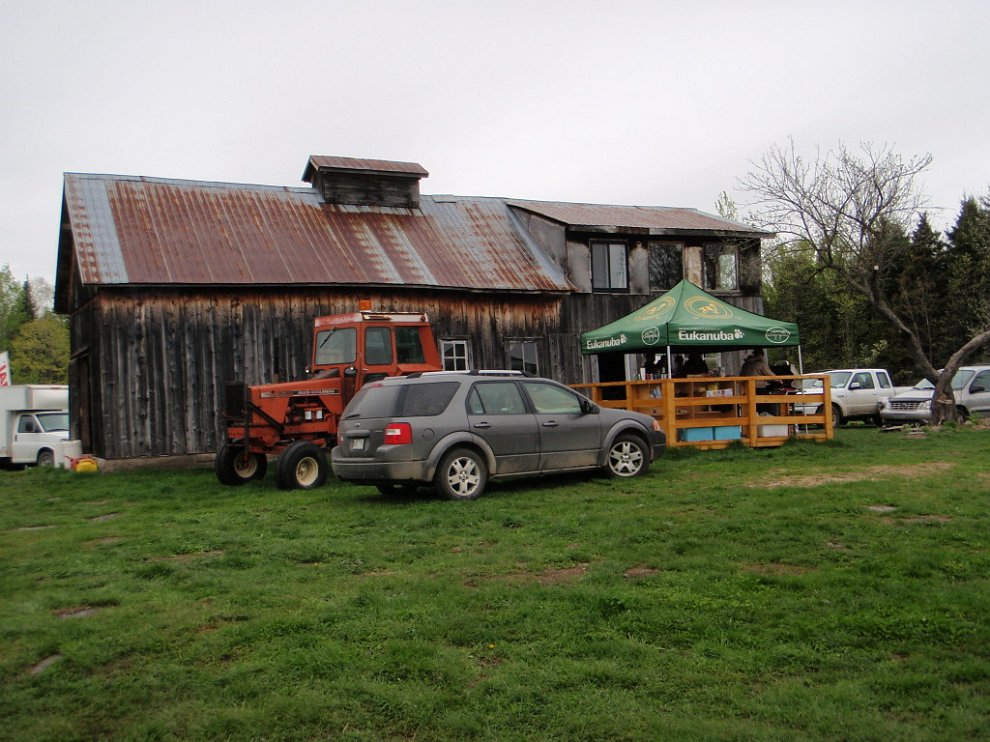 P5222654.jpg
