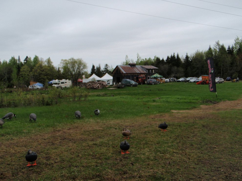 P5222658.jpg
