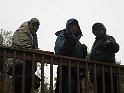 IMG_3585