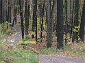 IMG_3638