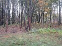 IMG_3645