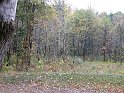 IMG_3646