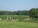 IMG_3373