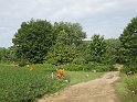 IMG_3384