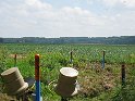 IMG_3437