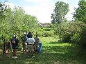 IMG_3451