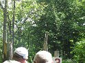 IMG_3469