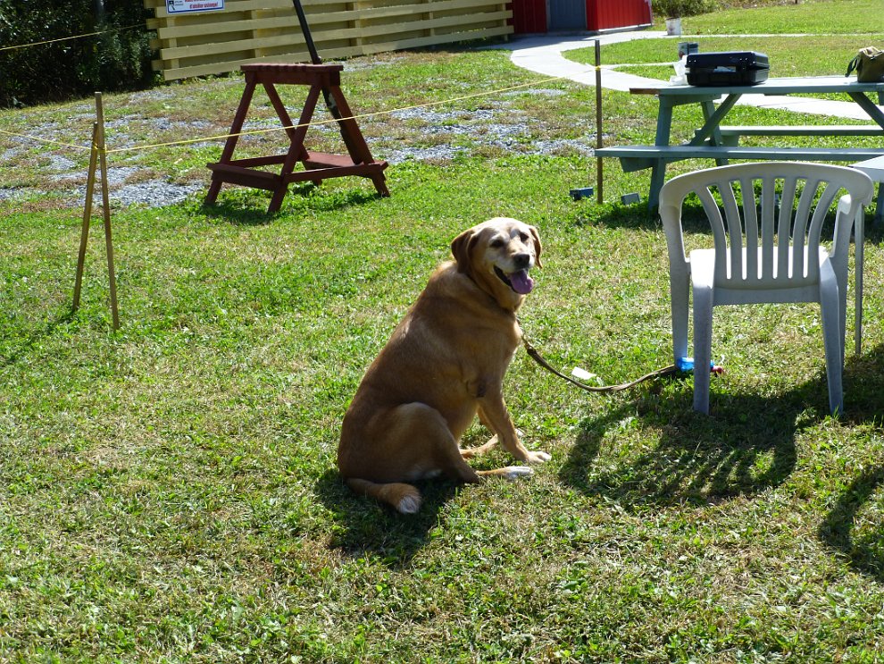P1010682.JPG