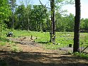 IMG_2827