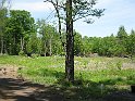 IMG_2845