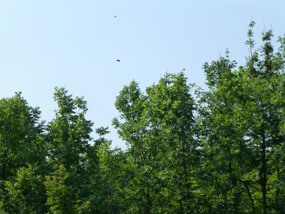 P1000272.JPG