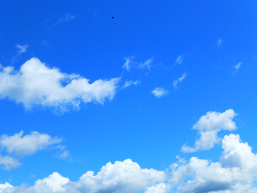 P1000918.JPG