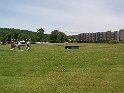 100_7821