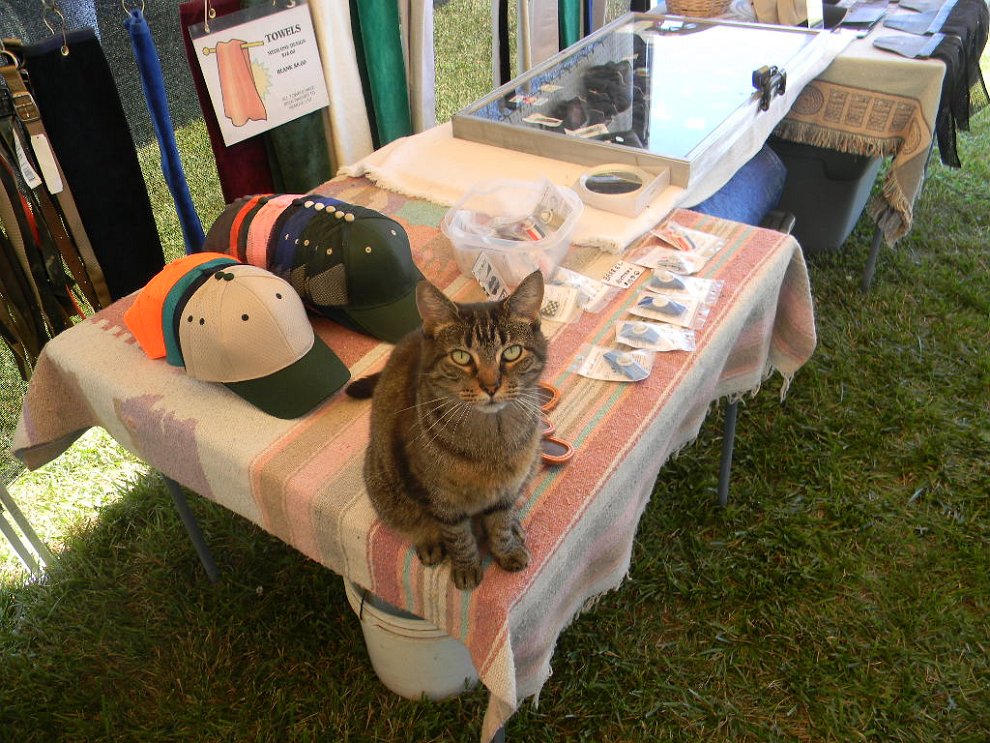 DSCN1208.JPG