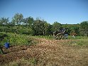 IMG_0589