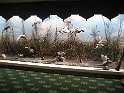 IMG_0595