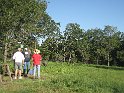 IMG_0612