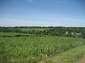 IMG_0620
