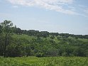 IMG_0642