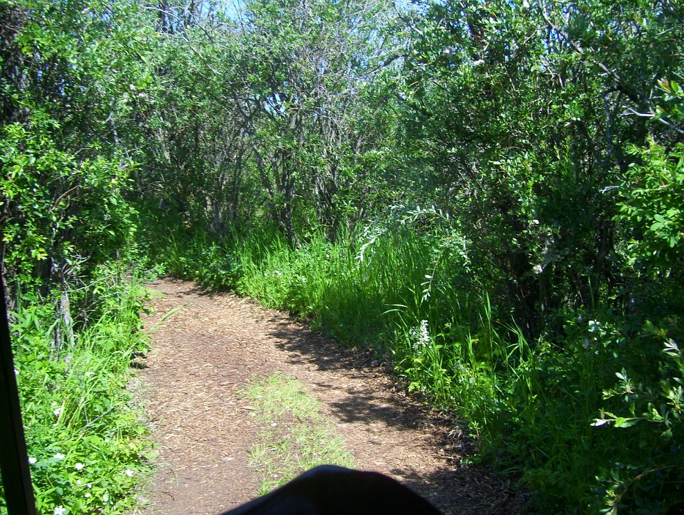 100_5678.JPG