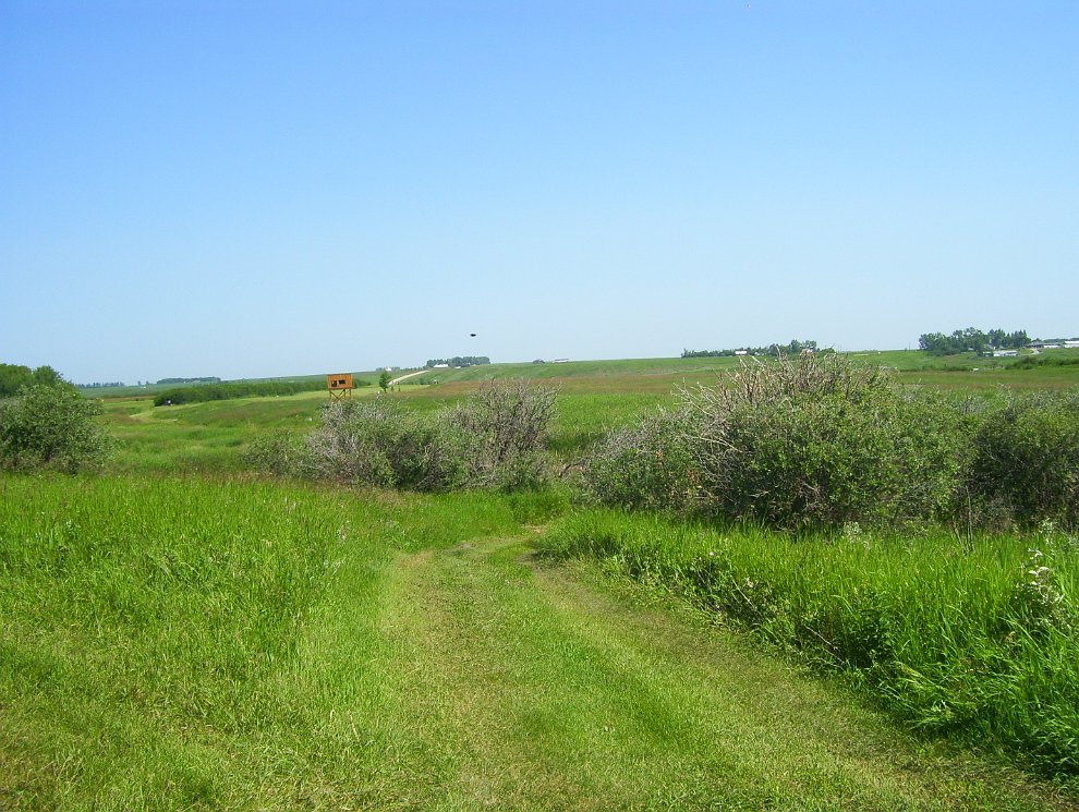 100_5682.JPG