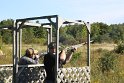 IMG_9133