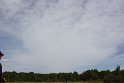 IMG_9196