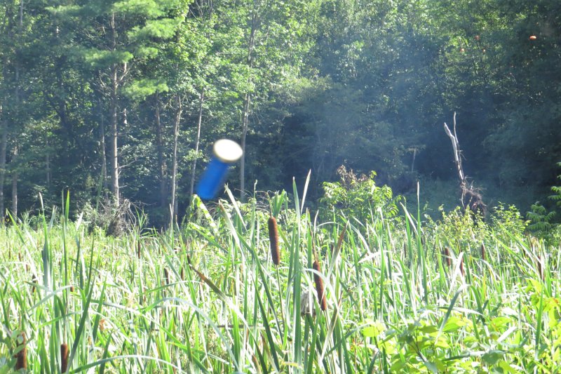 IMG_0826.JPG