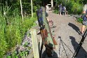 IMG_0813