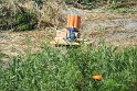 IMG_0873