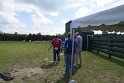 IMG_1401