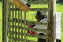 IMG_1231