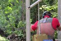 IMG_1567
