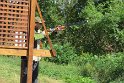 IMG_2876