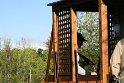 IMG_7042