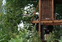 IMG_7077