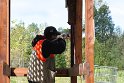 IMG_7168
