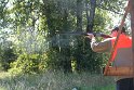 IMG_7199