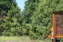 IMG_7205