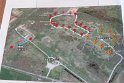 IMG_0256