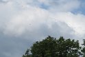 IMG_0588